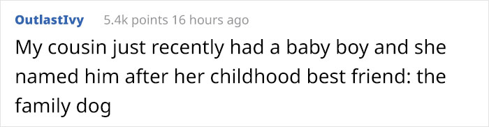 Woman Demands This Dog's Name Be Changed Because That's How She Wants To Call Her Newborn, Goes Ballistic After Owner Refuses
