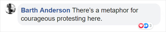 Angry Ducks Interrupt Golf Game By Chasing Alligator Down The Course