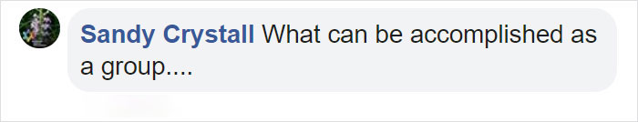 Angry Ducks Interrupt Golf Game By Chasing Alligator Down The Course