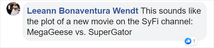 Angry Ducks Interrupt Golf Game By Chasing Alligator Down The Course