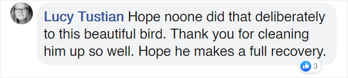 People Rescue 'Exotic' Bird That Couldn't Fly, Turns Out It's A Seagull Covered In Curry People Rescue 'Exotic' Bird That Couldn't Fly, Turns Out It's A Seagull Covered In Curry