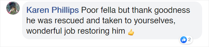 People Rescue 'Exotic' Bird That Couldn't Fly, Turns Out It's A Seagull Covered In Curry