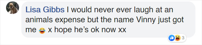 People Rescue 'Exotic' Bird That Couldn't Fly, Turns Out It's A Seagull Covered In Curry