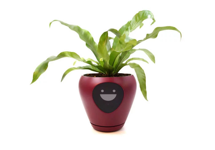 This Planter Turns Your Plants Into Tamagotchi-Like Pets This Planter Turns Your Plants Into Tamagotchi-Like Pets