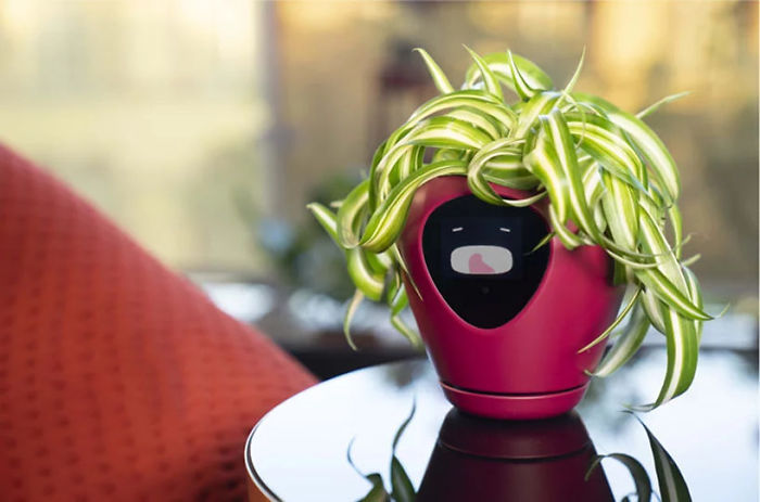 This Planter Turns Your Plants Into Tamagotchi-Like Pets This Planter Turns Your Plants Into Tamagotchi-Like Pets