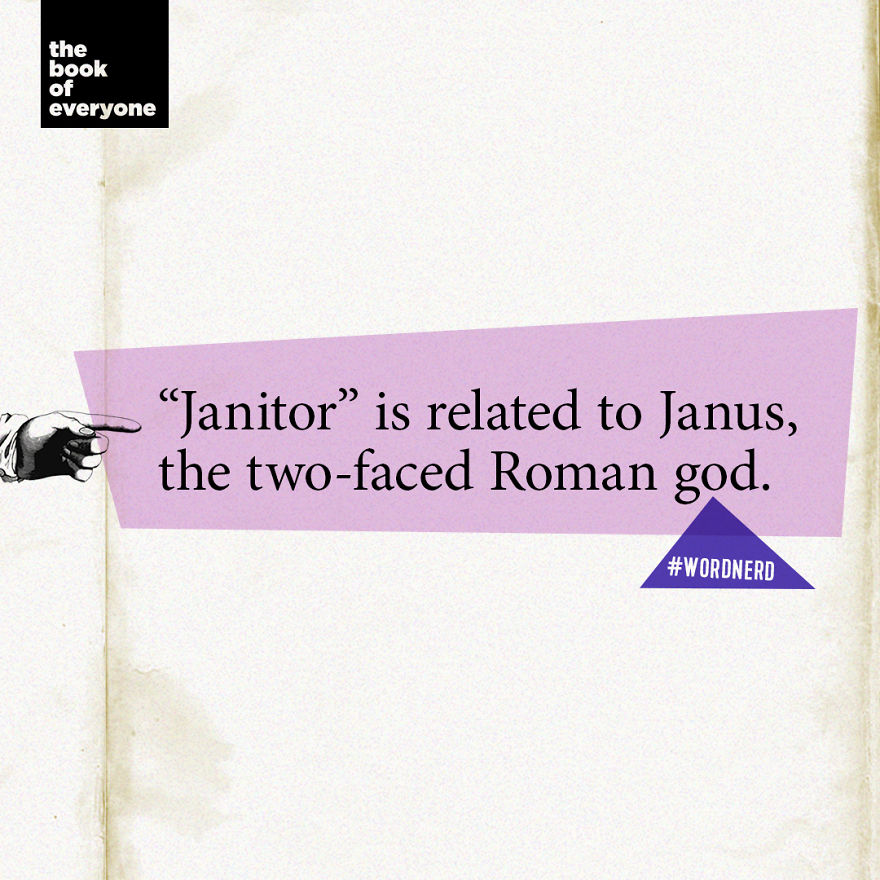 Janitor