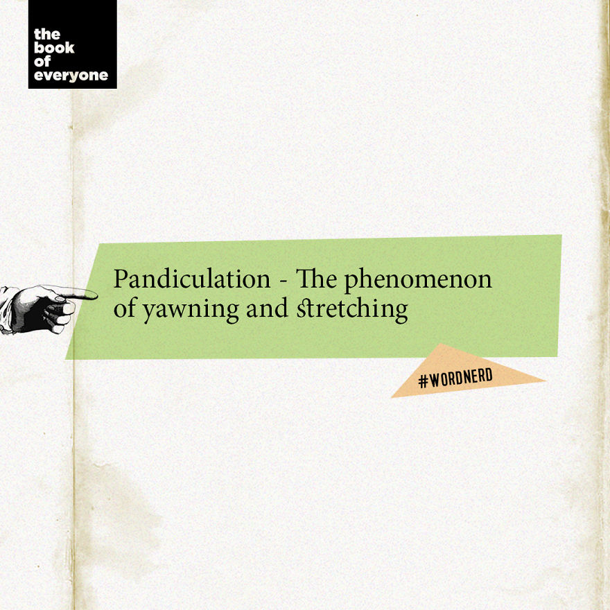 Pandiculation