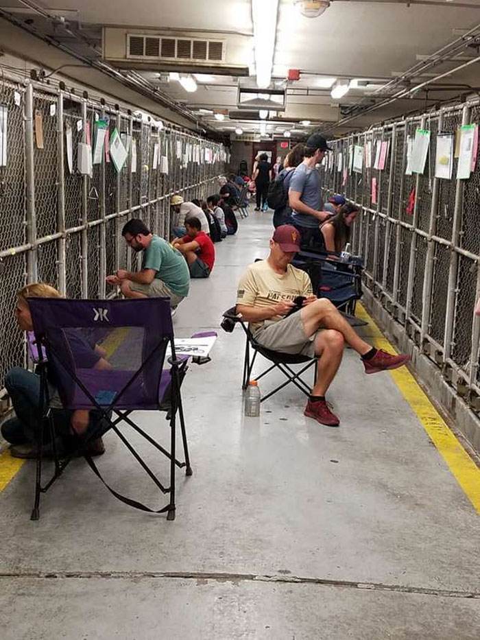 People Are Skipping 4th Of July Fireworks To Comfort Scared Shelter Dogs People Are Skipping 4th Of July Fireworks To Comfort Scared Shelter Dogs