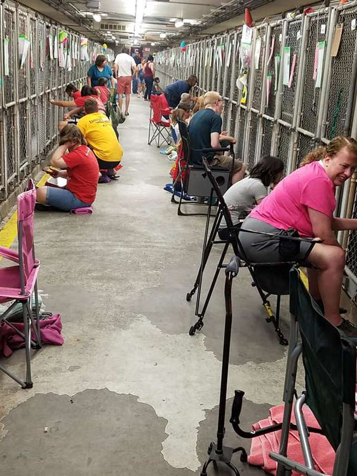 People Are Skipping 4th Of July Fireworks To Comfort Scared Shelter Dogs People Are Skipping 4th Of July Fireworks To Comfort Scared Shelter Dogs