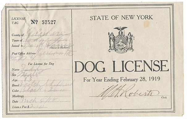 Found A Dog License From 1919 In "The Oregon Trail"