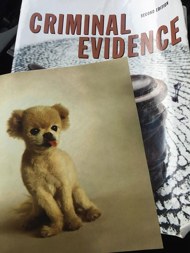 Found In Textbook. Guess They Were Lightening Up The Mood