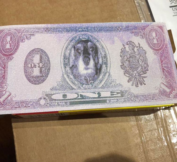 Found In My Copy Of "Moby-Dick"