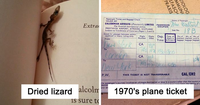 40 Times People Were So Surprised By The Things They Found In Second-Hand Books, They Just Had To Share
