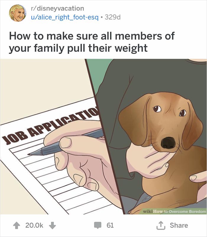 Funny-Alternate-Fake-Captions-Out-Of-Context-Wikihow-Images