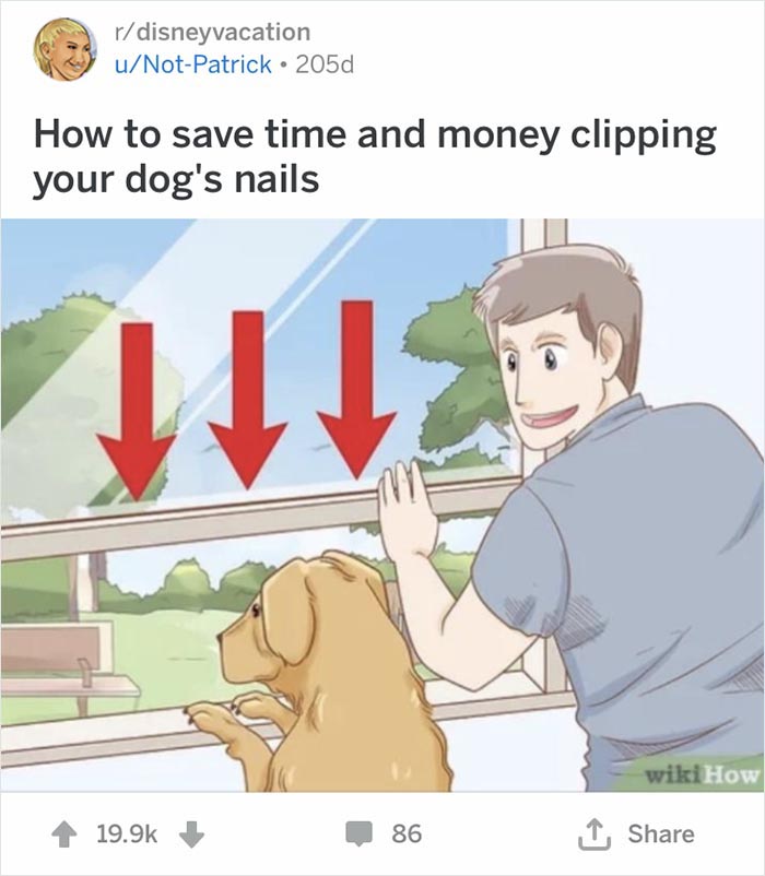 Man joyfully clipping dog's nails using a sliding window, out of context WikiHow illustration.