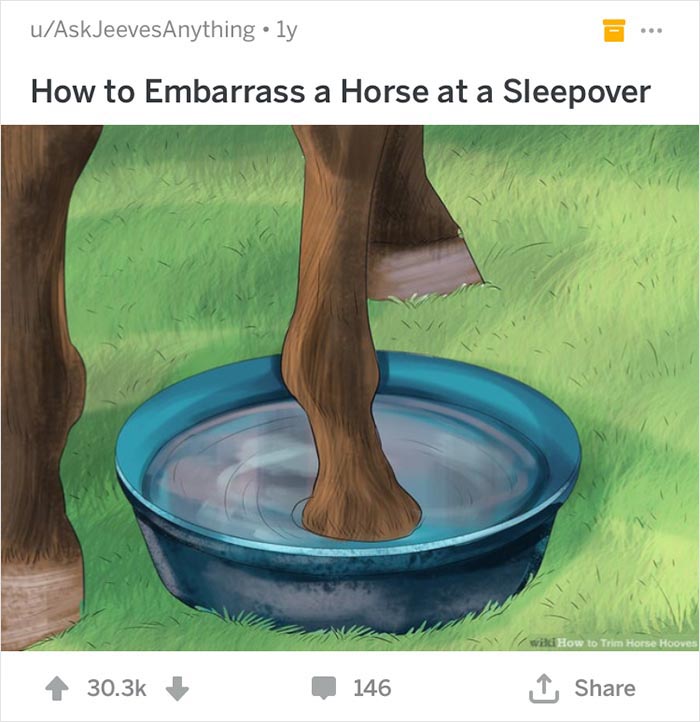 Horse stands with one leg in a blue bucket of water, creating an out of context WikiHow moment.