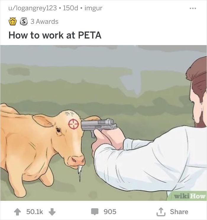 Man aiming gun at cow's forehead in out-of-context WikiHow illustration.