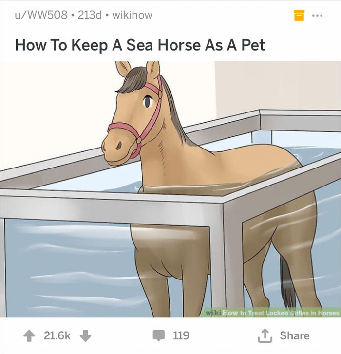 Brown horse standing in an aquarium, illustrating out of context WikiHow humor.