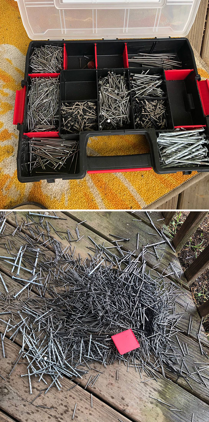 Heard A Crash, Knew My Whole Sunday Was Ruined