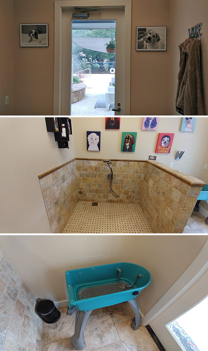 I've Been Using The Complimentary Towel At My Apartment's Swimming Pool. Someone Just Told Me It's A Towel For Wet Dogs