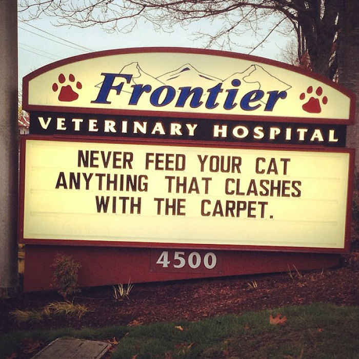 Vet clinic sign with a funny cat joke about feeding cats and carpet humor posted outside Frontier Veterinary Hospital.