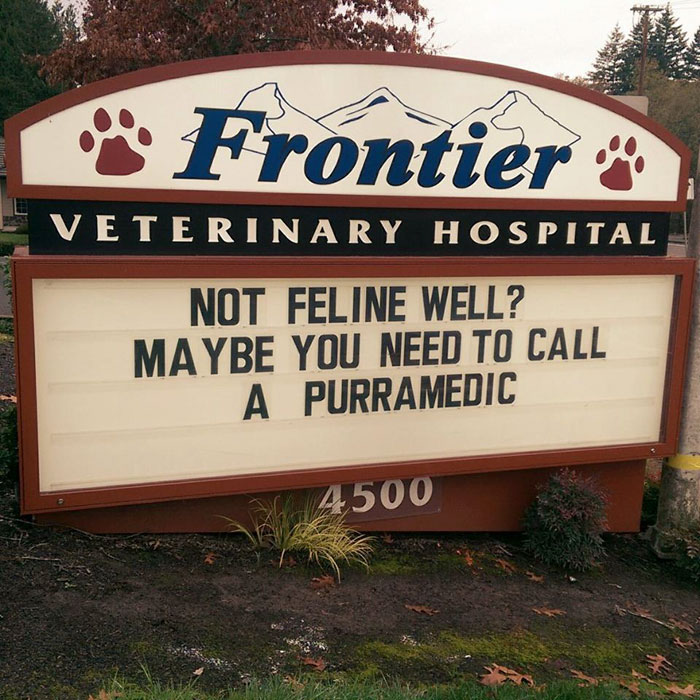 Veterinary hospital sign with a funny cat joke about calling a purramedic when not feline well at a vet clinic.