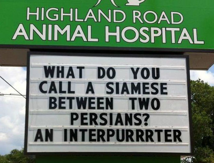 Funny Vet Clinics Signs About Cats Funny-Cat-Veterinary-Clinic-Signs