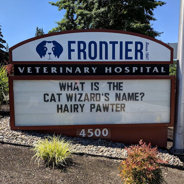 Veterinary hospital sign with a funny cat joke about a cat wizard named Hairy Pawter in a sunny outdoor setting.