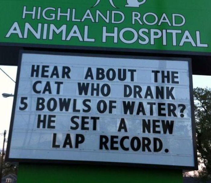 Funny Vet Clinics Signs About Cats Funny-Cat-Veterinary-Clinic-Signs