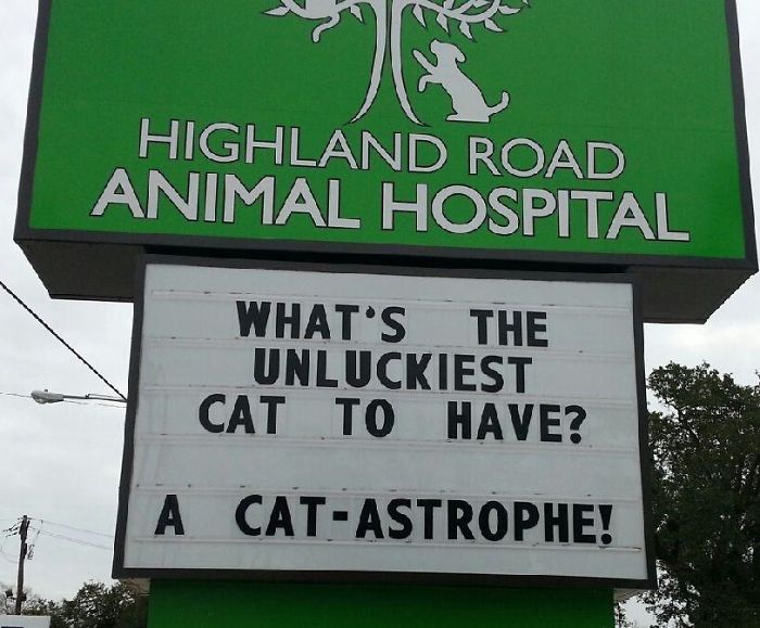 Funny Vet Clinics Signs About Cats Funny-Cat-Veterinary-Clinic-Signs