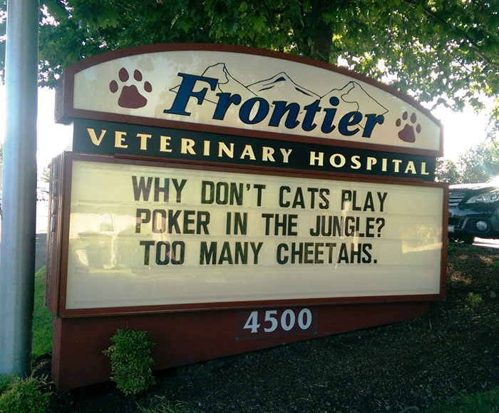 Vet clinic sign displaying a funny cat joke about cats not playing poker due to too many cheetahs, a popular cat joke.