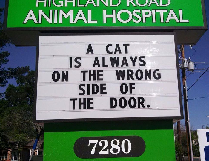 Vet clinic sign with a funny cat joke saying a cat is always on the wrong side of the door.