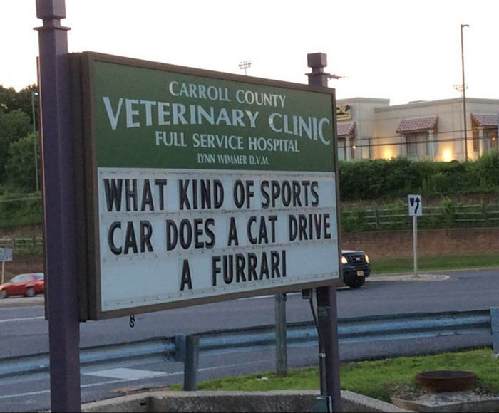 Funny Vet Clinics Signs About Cats Funny-Cat-Veterinary-Clinic-Signs
