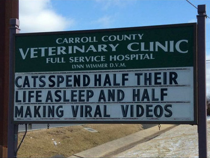Carroll County veterinary clinic sign with a funny cat joke about cats sleeping and making viral videos.