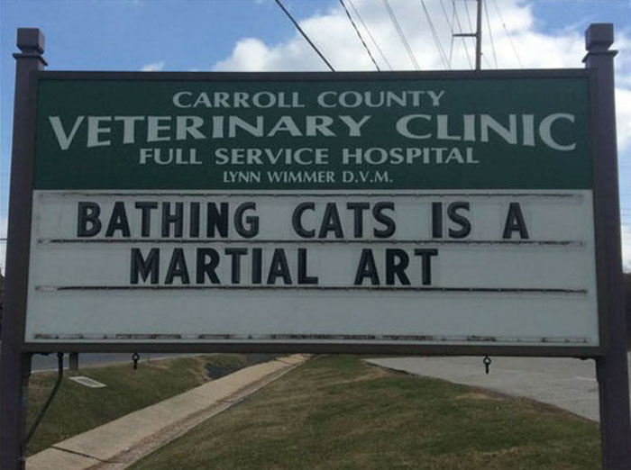 Vet clinic sign with a funny cat joke about bathing cats being a martial art, showcasing cat jokes vet clinics use.