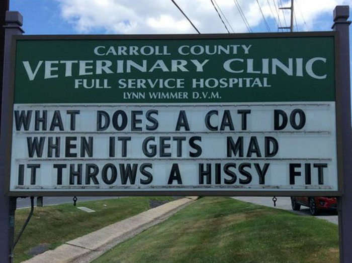 Funny Vet Clinics Signs About Cats Funny-Cat-Veterinary-Clinic-Signs