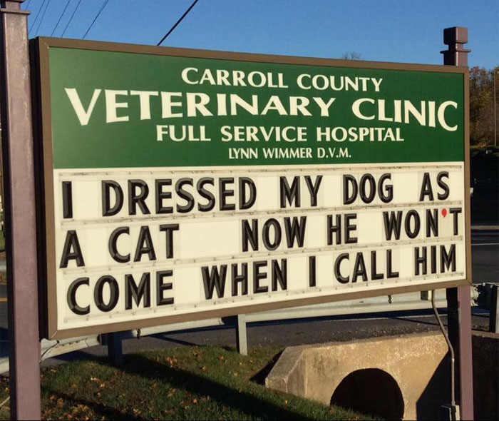 Funny cat joke displayed on a veterinary clinic sign about dressing a dog as a cat causing behavior change.