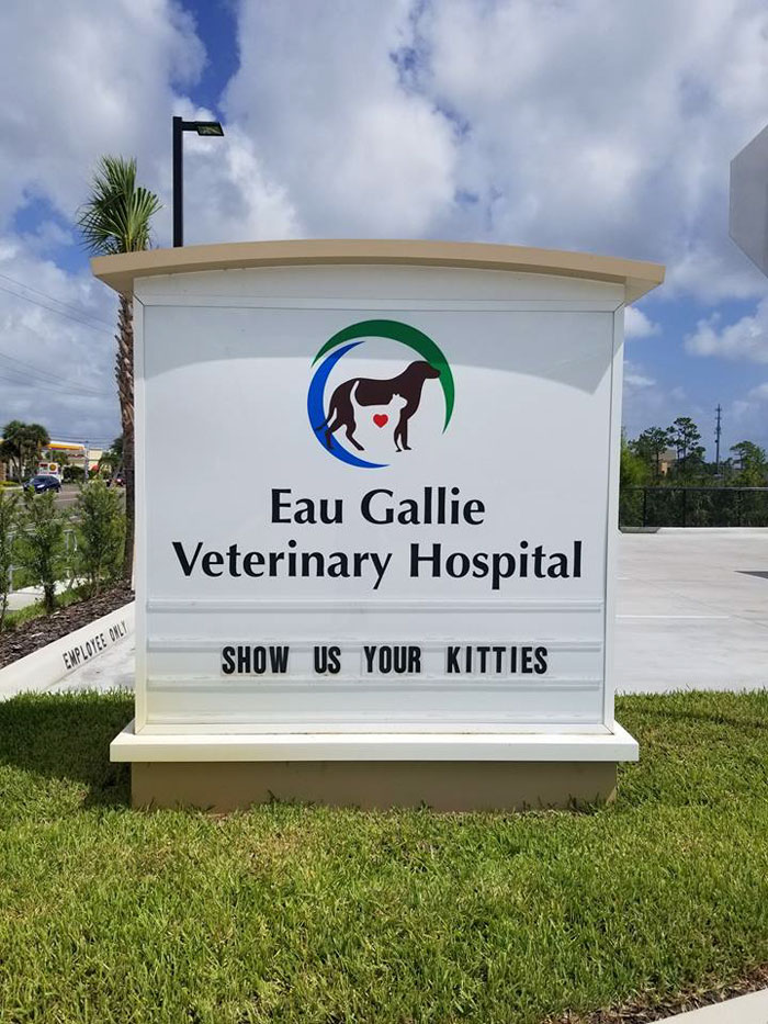 Vet clinic sign with funny cat joke saying show us your kitties outdoors on a sunny day with blue sky background.