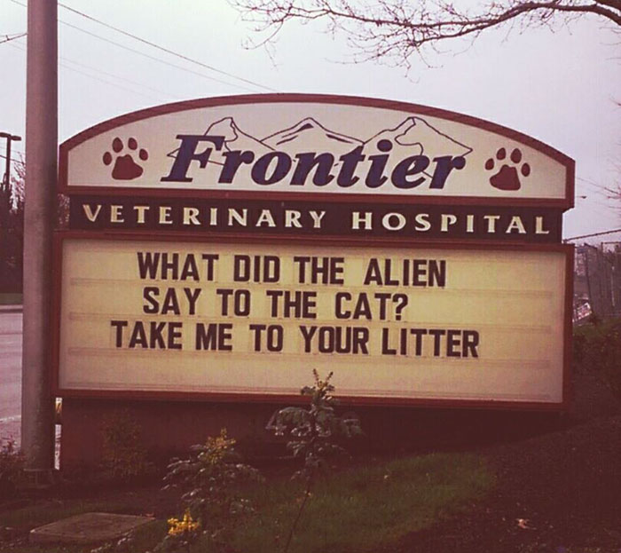 Funny Vet Clinics Signs About Cats Funny-Cat-Veterinary-Clinic-Signs