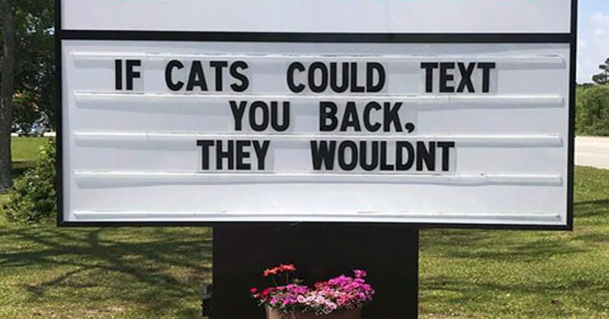 Vet clinic sign with a funny cat joke saying if cats could text you back they wouldn't, featuring cat humor.
