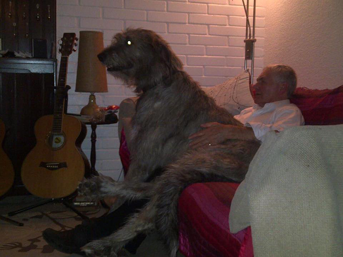 None As Big As Our Owen