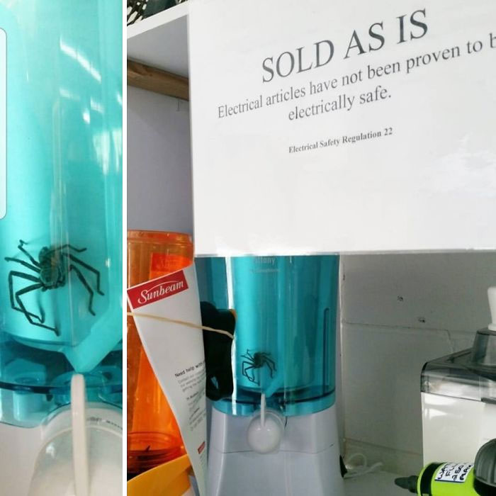 Opshopping In Australia Be Like... " Not Proven To Be Electrically Safe" *Or Free From Live, Giant Huntsman Spiders