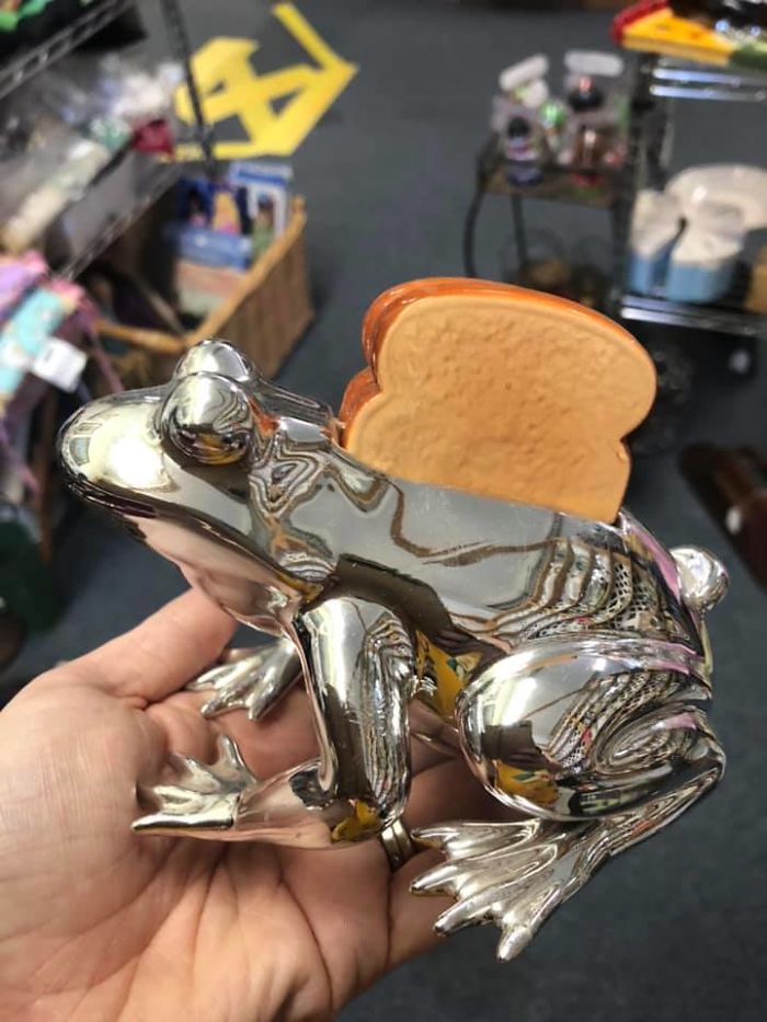 I Give You The “Toadster”