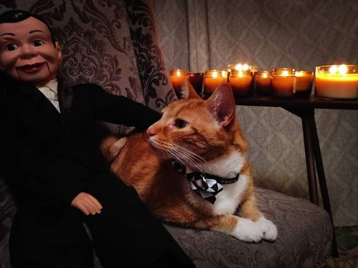 This Is Handsome Andy The Ventriloquist Dummy (Though He Hates Being Called A "Dummy") Found Him In A Thrift Store In Portland Oregon And I Fell In Love