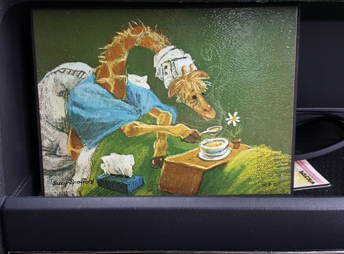 I Found This Sick Giraffe Painting At A Goodwill A Few Months Ago, Definitely Took It Home For The Pun-Ability