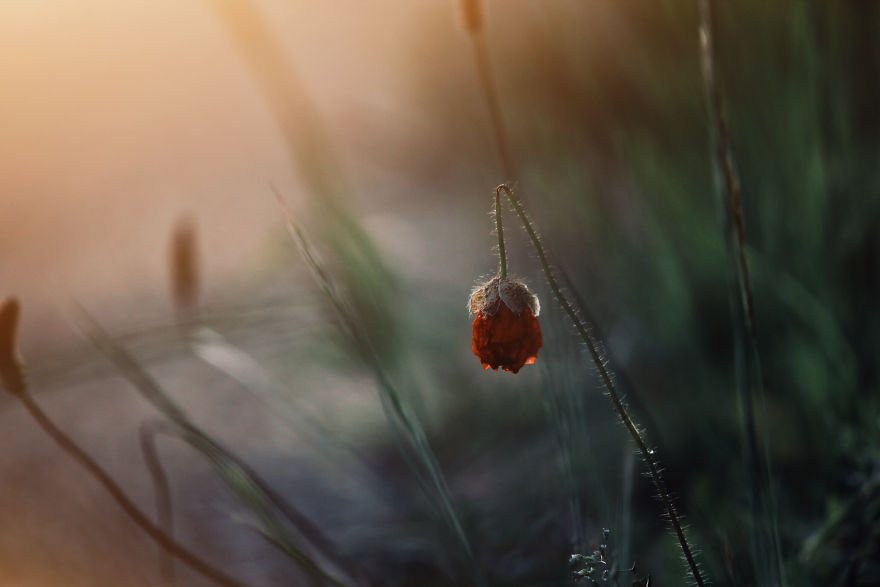 Keep Looking Where The Light Pours In