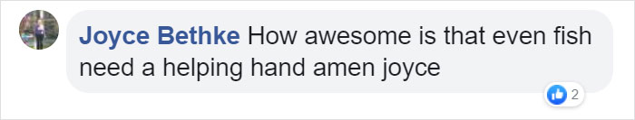This Man Creates A Flotation Device To Save His Beloved Goldfish From Dying This Man Creates A Flotation Device To Save His Beloved Goldfish From Dying