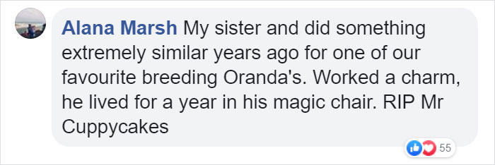 This Man Creates A Flotation Device To Save His Beloved Goldfish From Dying This Man Creates A Flotation Device To Save His Beloved Goldfish From Dying