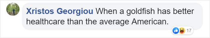 This Man Creates A Flotation Device To Save His Beloved Goldfish From Dying