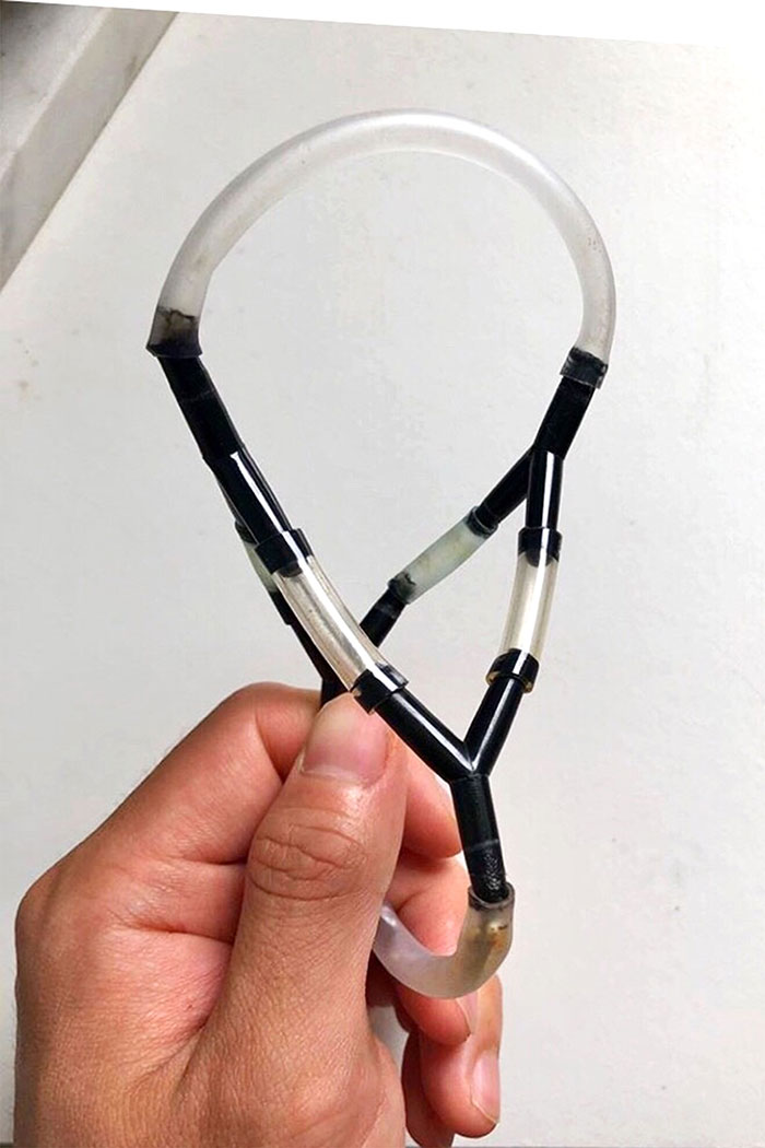 This Man Creates A Flotation Device To Save His Beloved Goldfish From Dying This Man Creates A Flotation Device To Save His Beloved Goldfish From Dying